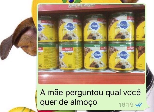 almoco-irmaos-whatsapp