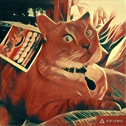 app prisma
