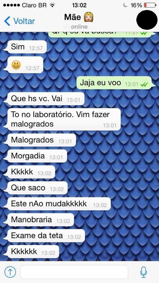 conversa engraçada de whatsapp